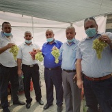 BCCI and Al-Khader municipality conclude the "The Second Grape and women products Market” event