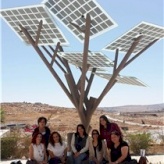 Bethlehem Chamber of Commerce and Industry organize a visit to Bethlehem Industrial Estate