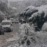 التبليغ عن أضرار العاصفة الثلجية