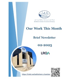 Our Work This Month - February 2025