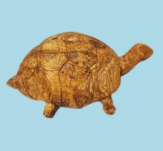 سلحفاة كبيرة