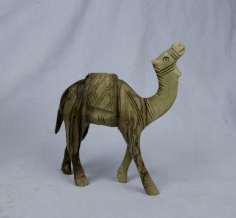 Camel