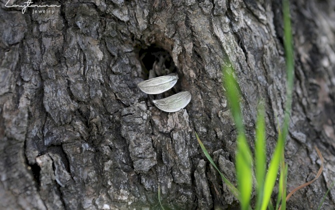 خاتم من ورقتي الزيتون الفضية
