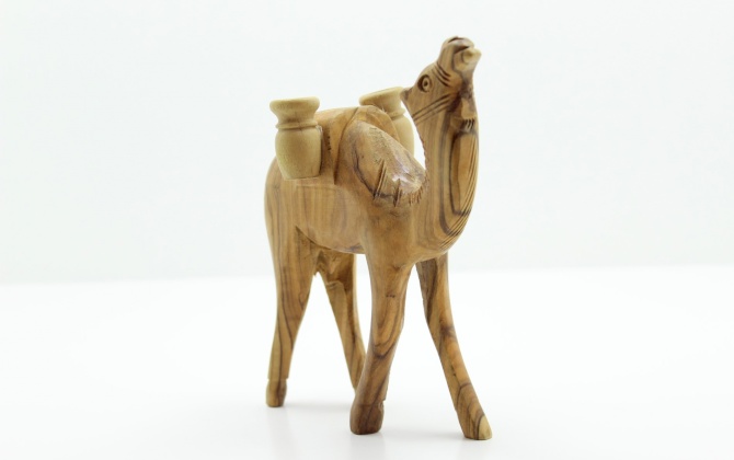 جمل حجم صغير