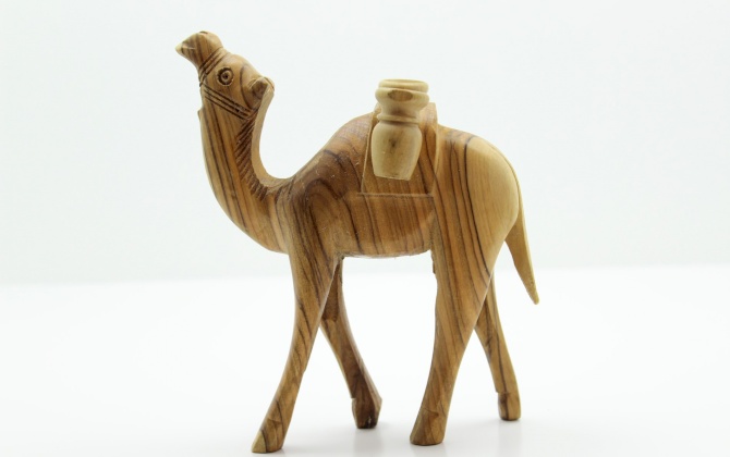 جمل حجم صغير