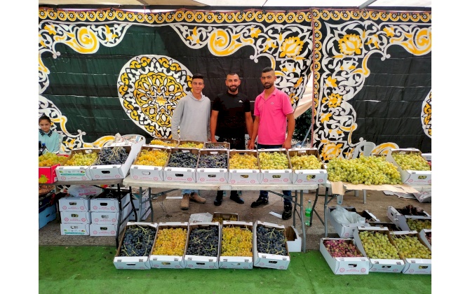 22 tons of grapes, sales of the fourth market for grapes and women's products in the town of Al-Khader