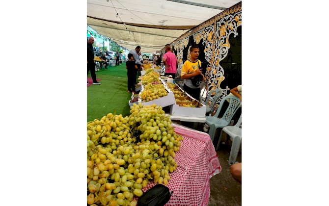 22 tons of grapes, sales of the fourth market for grapes and women's products in the town of Al-Khader