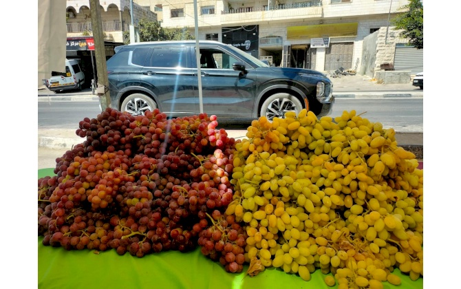 22 طن من العنب مبيعات سوق العنب والمُنتجات النسوية الرابع في بلدة الخضر