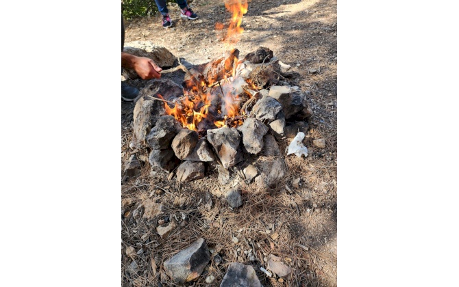 غرفة تجارة و صناعة محافظة بيت لحم تنظم مسار بـمُناسبة شهر اكتوبر الوردي‎