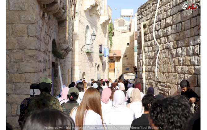 غرفة تجارة وصناعة محافظة بيت لحم تُنظم فعالية "ماراثون أكتوبر الوردي" في ساحة المهد